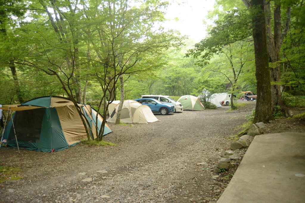 道志の森キャンプ場 - サイトの雰囲気