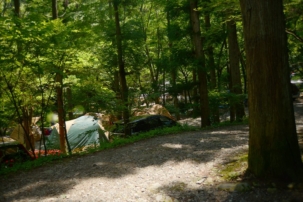道志の森キャンプ場 - サイトの雰囲気